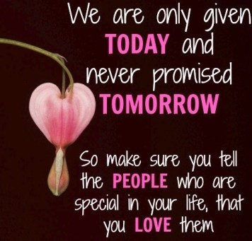 tomorrow321917377834_Wa13Ffsu_c