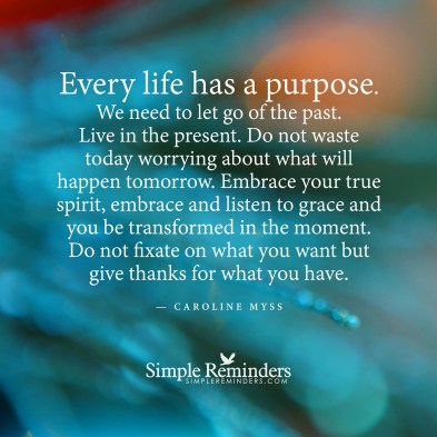 life-purpose-2a9j